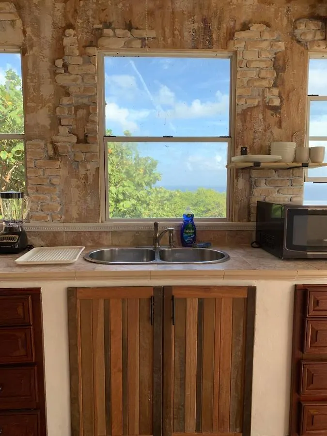 イサベラ Oceanfront Hideaway Main Floorヴィラ